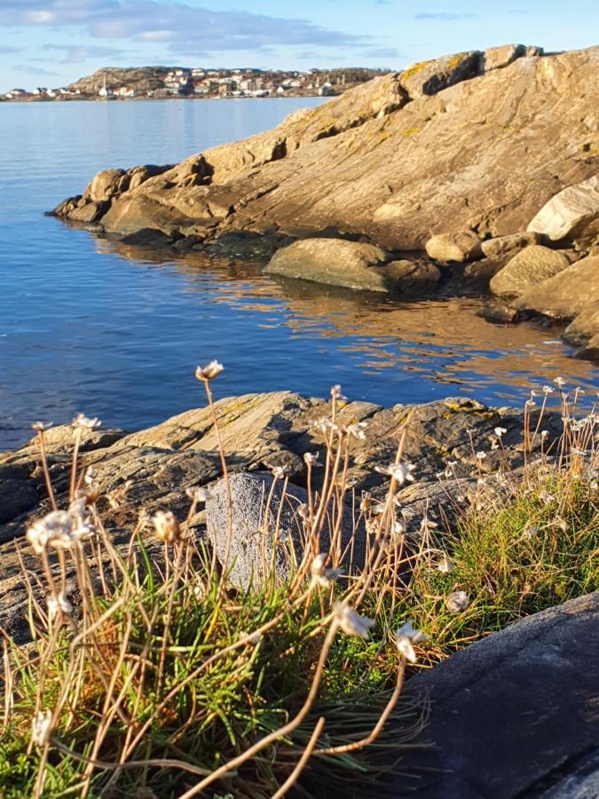 Skarvik Skaergardsidyll Pa Bjoerkoe Med Gangavstand Till Havet מראה חיצוני תמונה